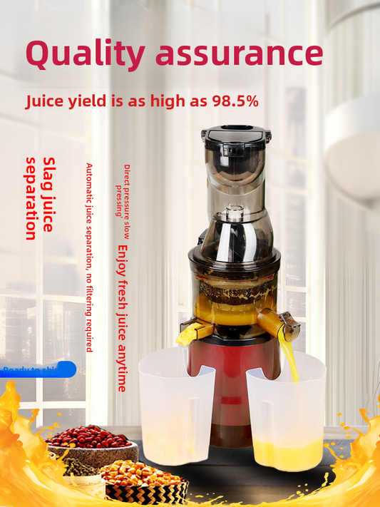 Multifunctional Slow Juicer with Pulp Separation